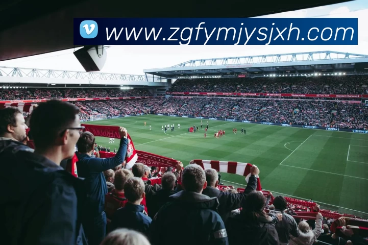 多媒体互动体验